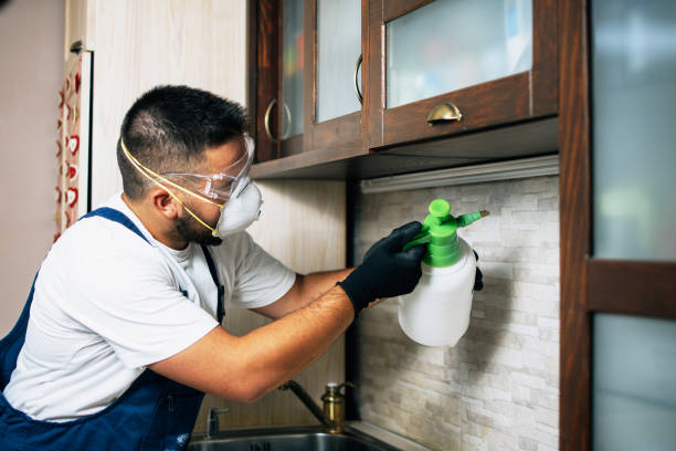 Reliable Oakland City, IN Pest Control Solutions