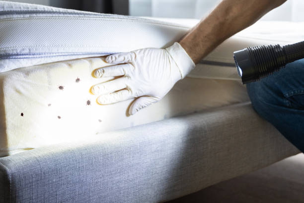 Reliable Oakland City, IN Pest Control Solutions