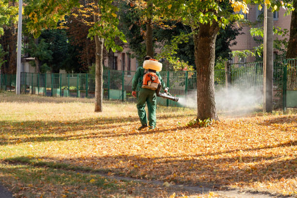 Best Termite Control Services  in Oakland City, IN