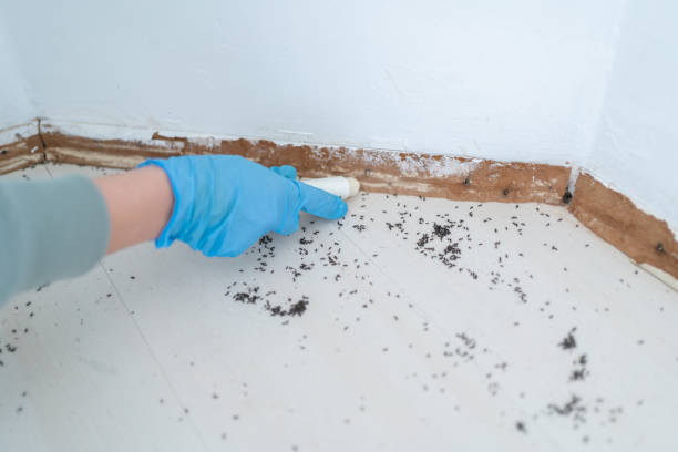 Pest Control Cost in Oakland City, IN