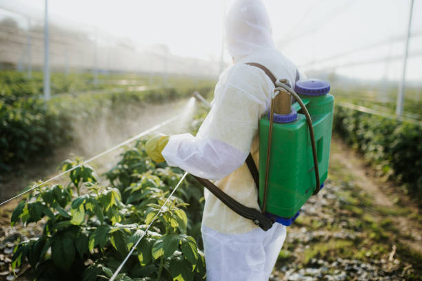Best Best Pest Control Companies  in Oakland City, IN